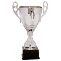 Silver Metal Cup Trophy